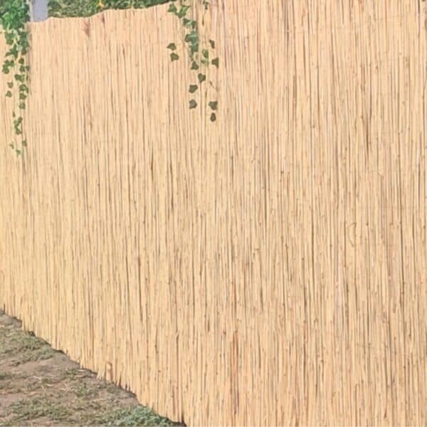 Drótos, Erős Nádszövet, Nádkerítés Főkép 03